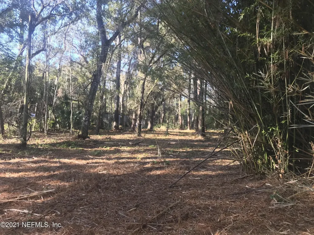 0 Peeples Road Yulee FL 32097