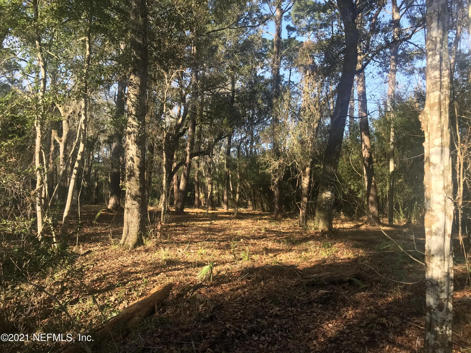 0 Peeples Road Yulee FL 32097
