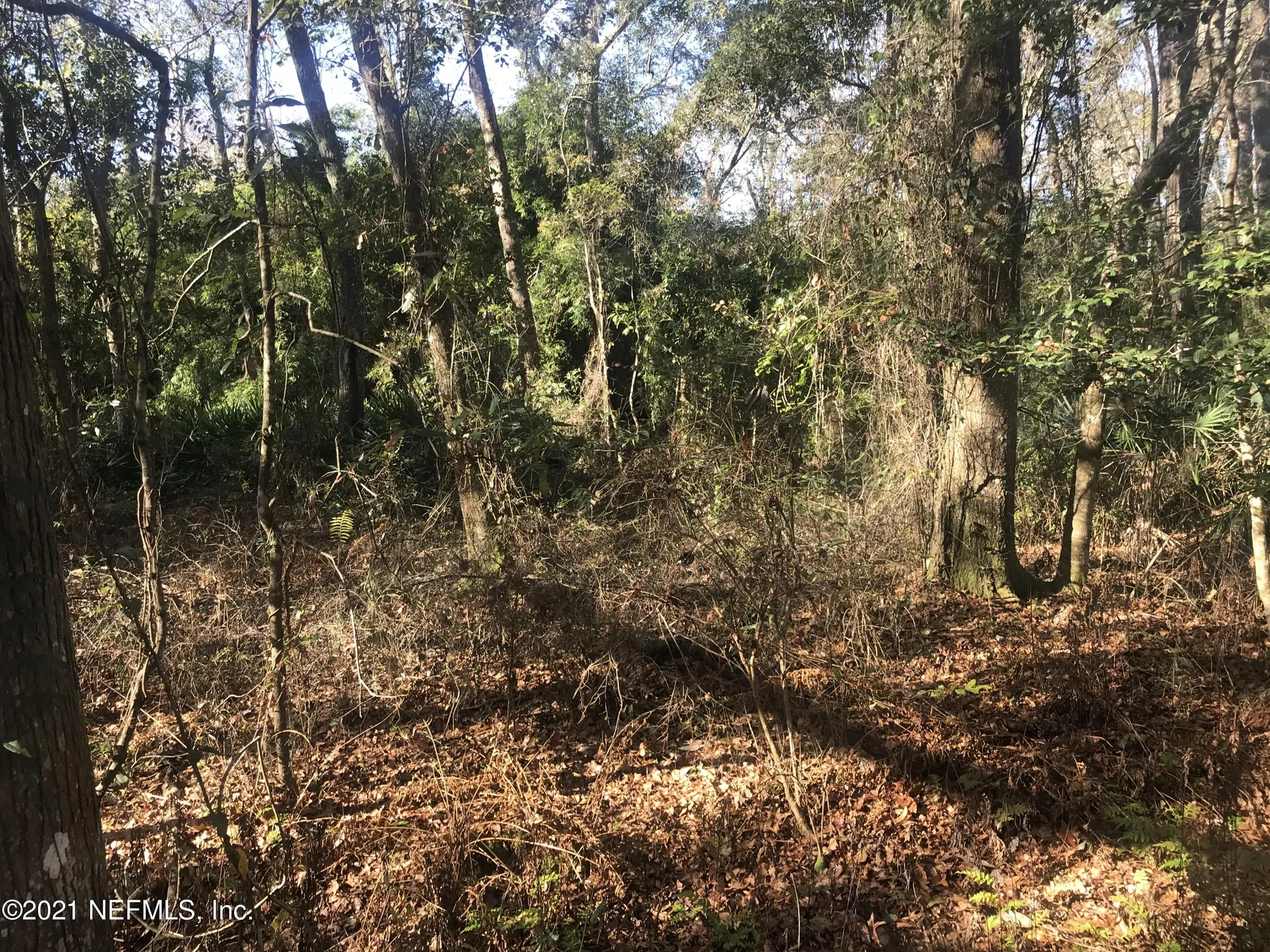 0 Peeples Road Yulee FL 32097