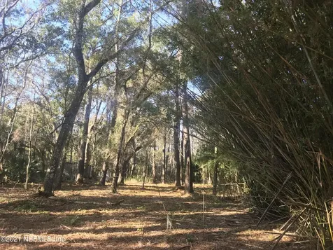 0 Peeples Road Yulee FL 32097