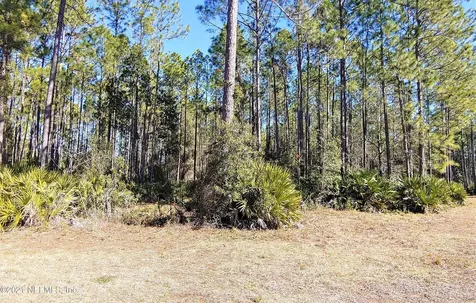 11087 Blazing Ridge Court Jacksonville FL 32219