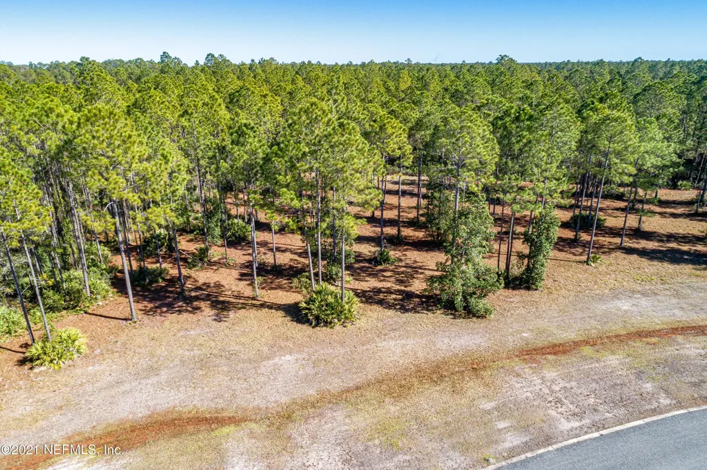 11081 Blazing Ridge Court Jacksonville FL 32219
