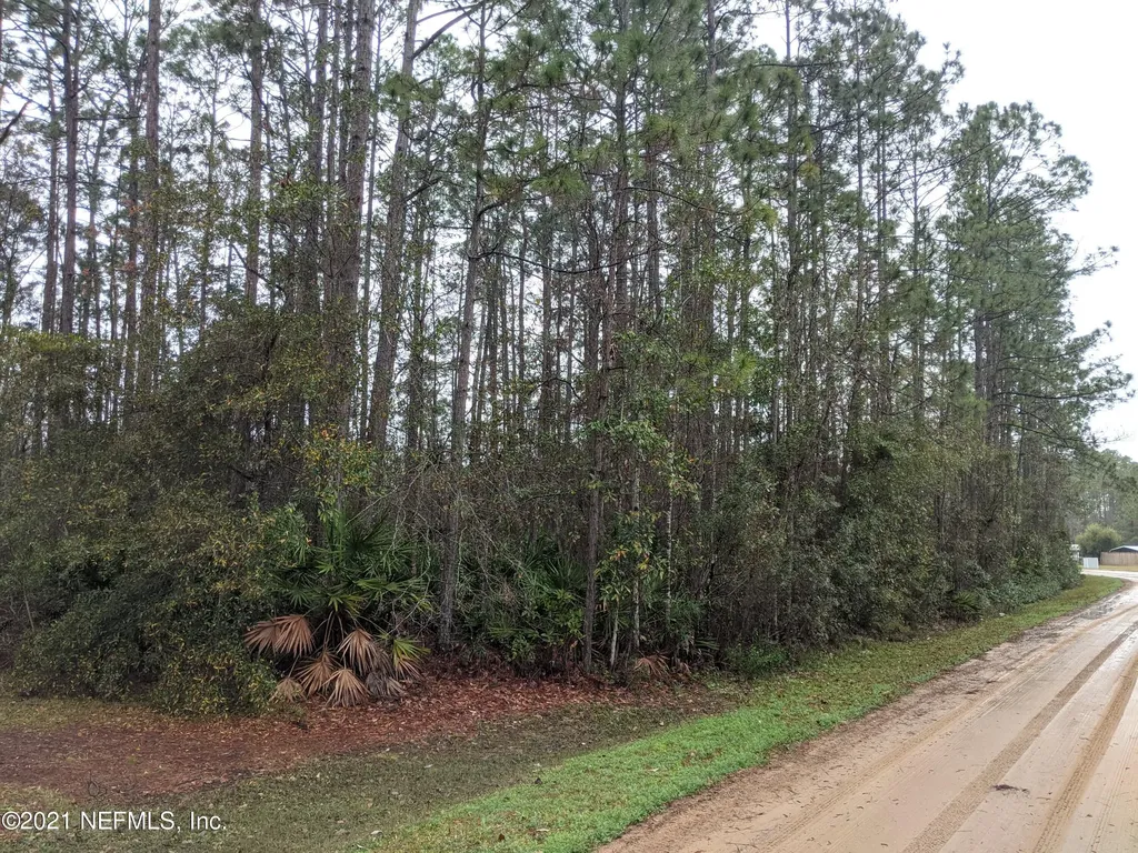 4541 Mayflower Street Middleburg FL 32068