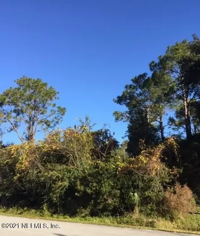 11 White Dove Lane Palm Coast FL 32164