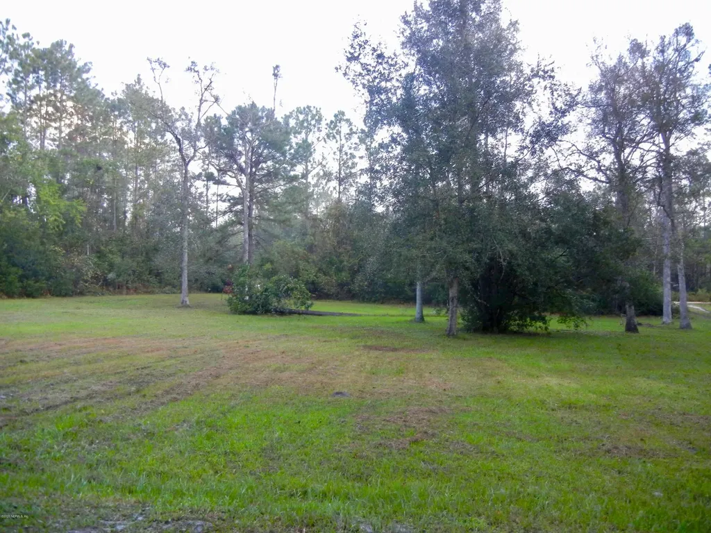 89 Mandrake Street Middleburg FL 32068