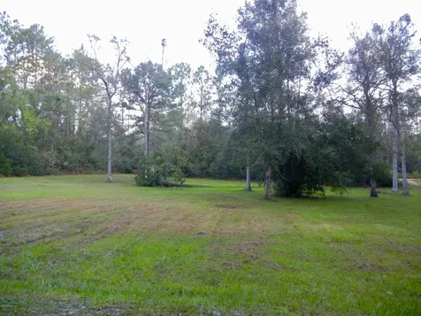89 Mandrake Street Middleburg FL 32068
