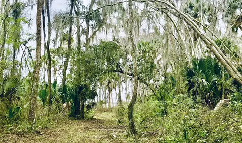 287 E River Road East Palatka FL 32131
