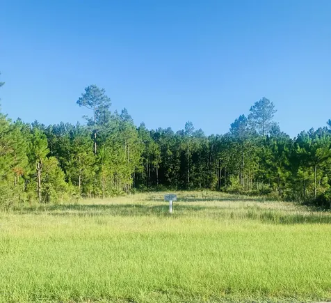 11381 Saddle Club Drive Jacksonville FL 32219