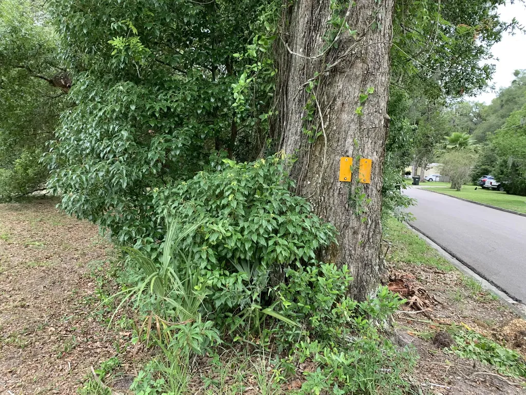 1608 Elsie Street Green Cove Springs FL 32043