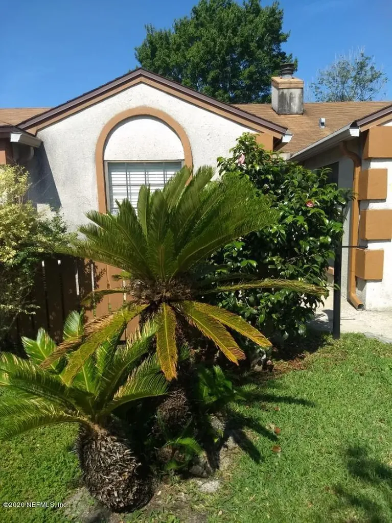 7832 Fawn Valley Lane Jacksonville FL 32256