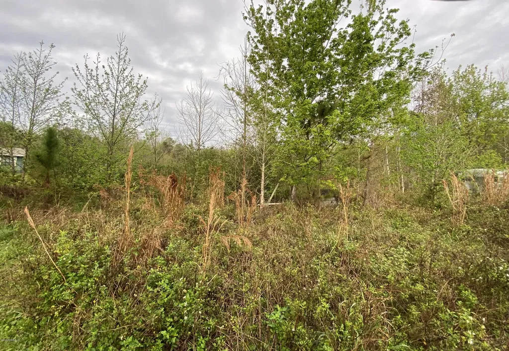 5365 Meadowbrook Road Elkton FL 32033