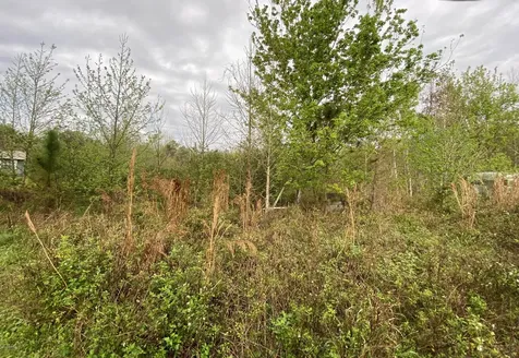 5365 Meadowbrook Road Elkton FL 32033