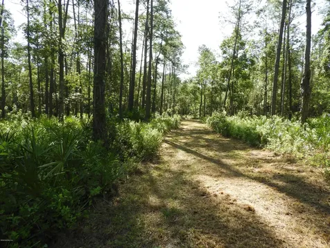 179 Little Orange Creek Road Hawthorne FL 32640