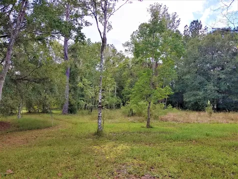 5341 Muskogean Street St. Augustine FL 32092