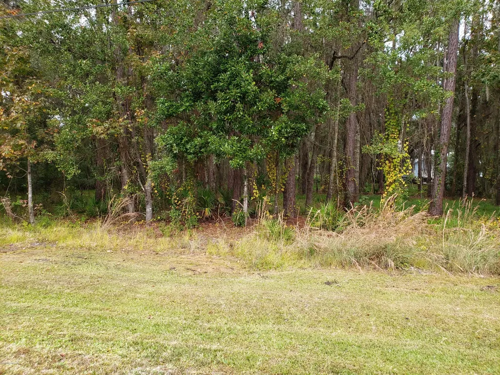 5607 Dianthus Street Green Cove Springs FL 32043