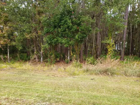 5607 Dianthus Street Green Cove Springs FL 32043