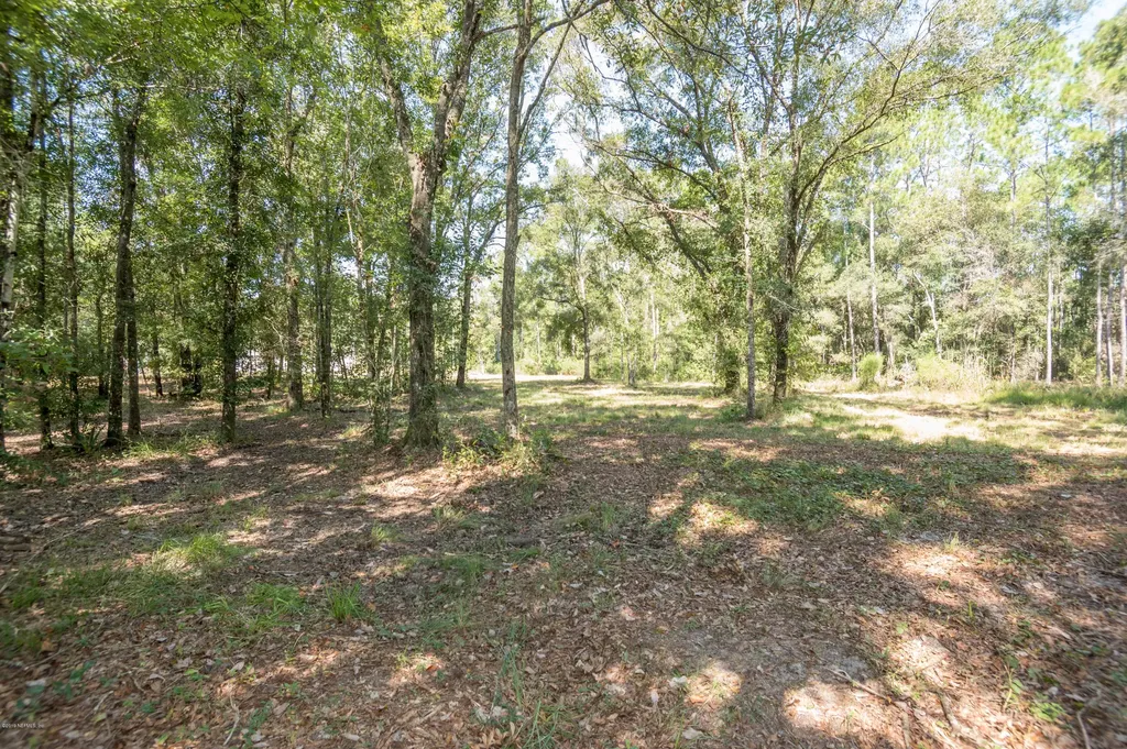 9910 Mcmahon Avenue Hastings FL 32145