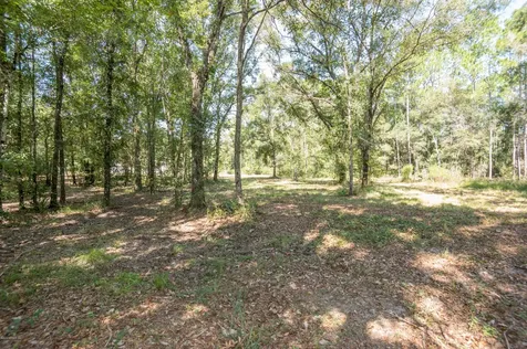 9910 Mcmahon Avenue Hastings FL 32145