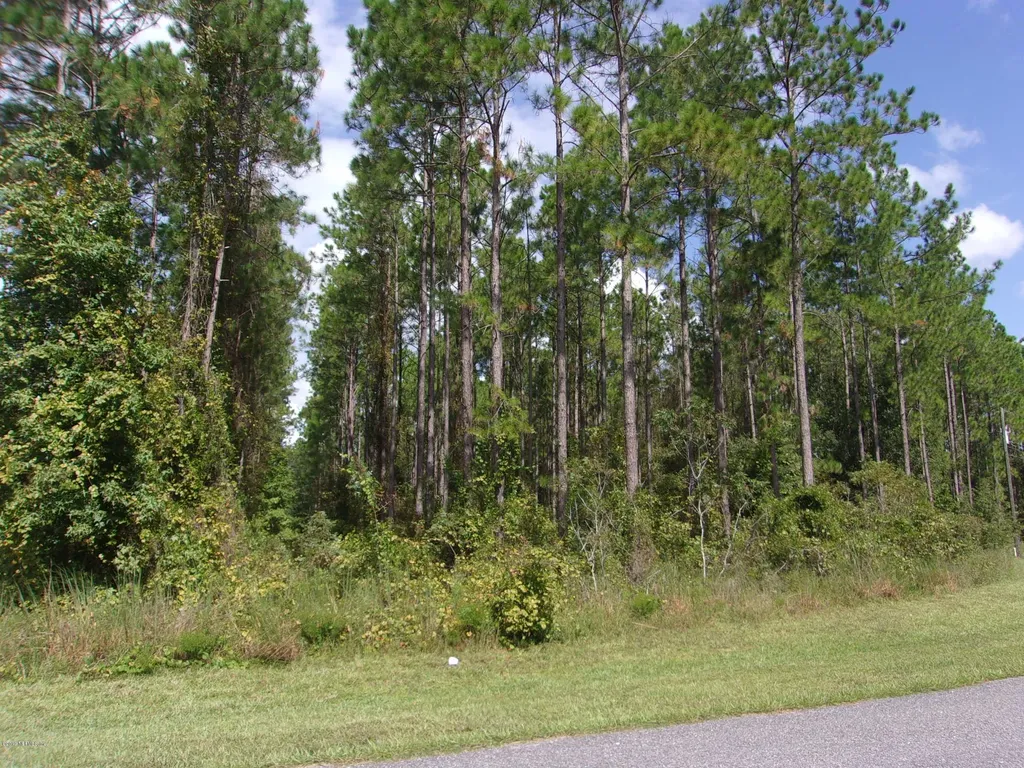 405 Friar Tuck Lane St. Augustine FL 32092