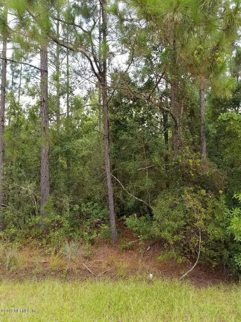 2190 Daffodil Avenue Middleburg FL 32068