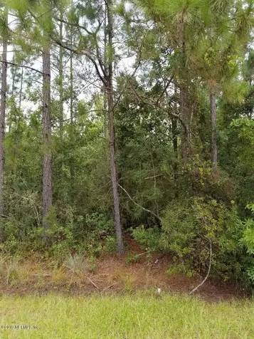 2190 Daffodil Avenue Middleburg FL 32068