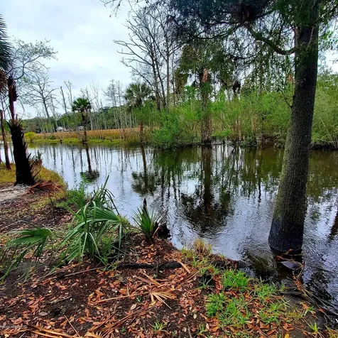 524 Arlington Road N Jacksonville FL 32211