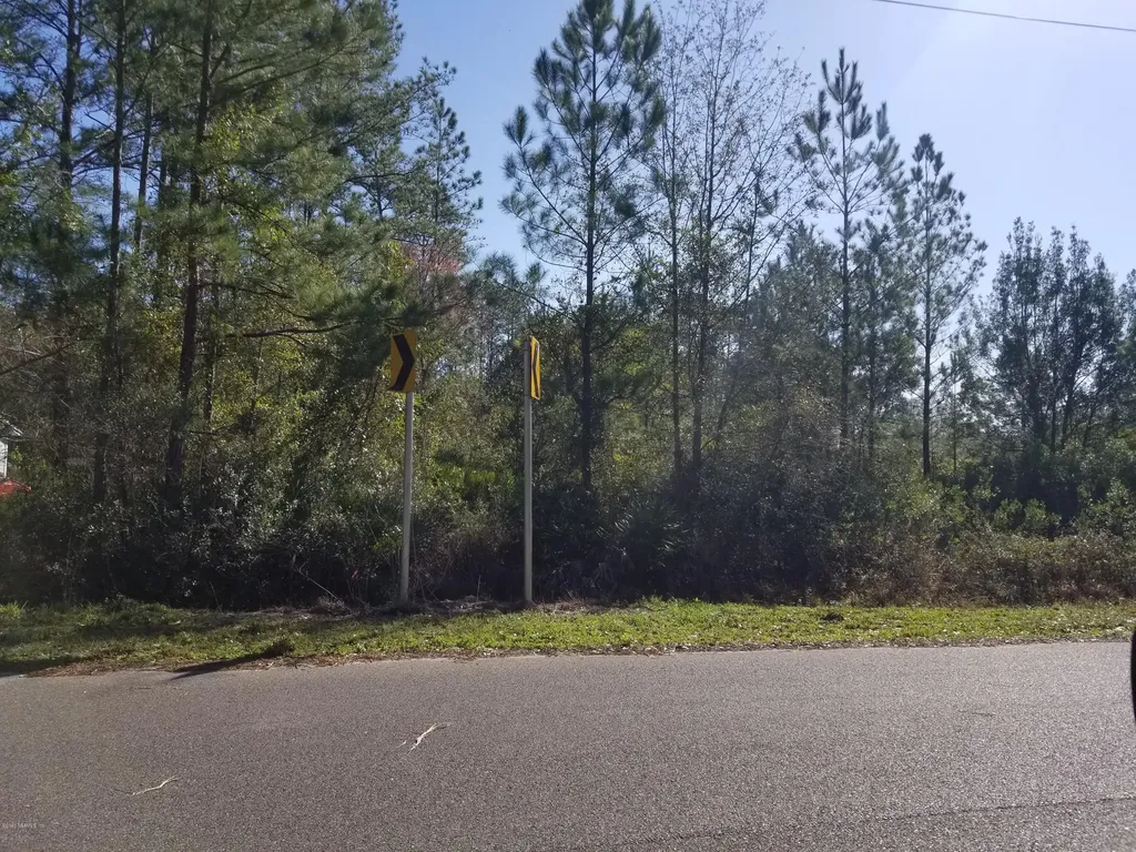 4699 Cattail Street Middleburg FL 32068