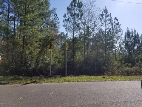 4699 Cattail Street Middleburg FL 32068