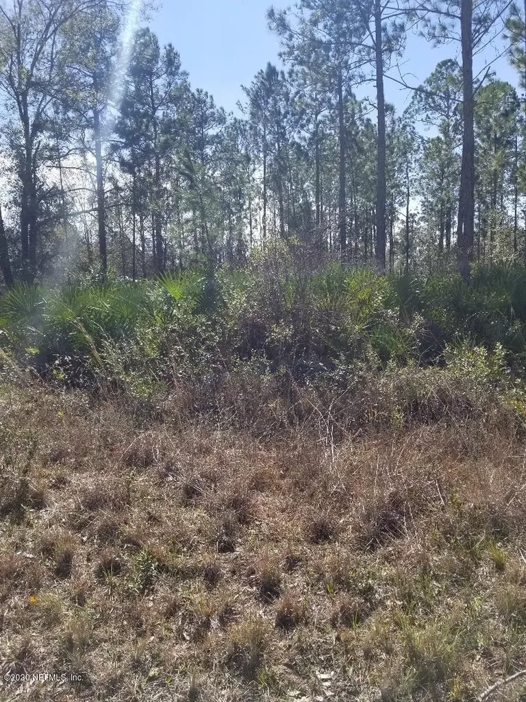 2334 Indigo Avenue Middleburg FL 32068