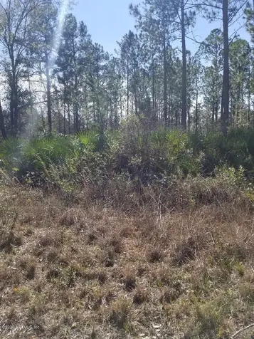 2334 Indigo Avenue Middleburg FL 32068