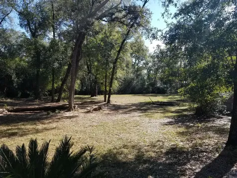 4170 Waterlily Court Middleburg FL 32068