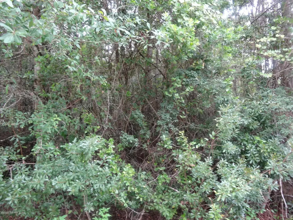 5450 Wandering Trail Jacksonville FL 32219