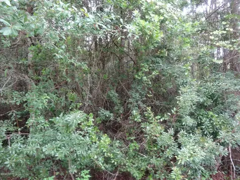 5450 Wandering Trail Jacksonville FL 32219