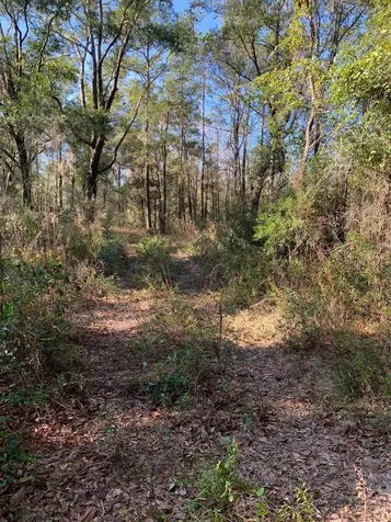 2222 Treasure Point Road Green Cove Springs FL 32043
