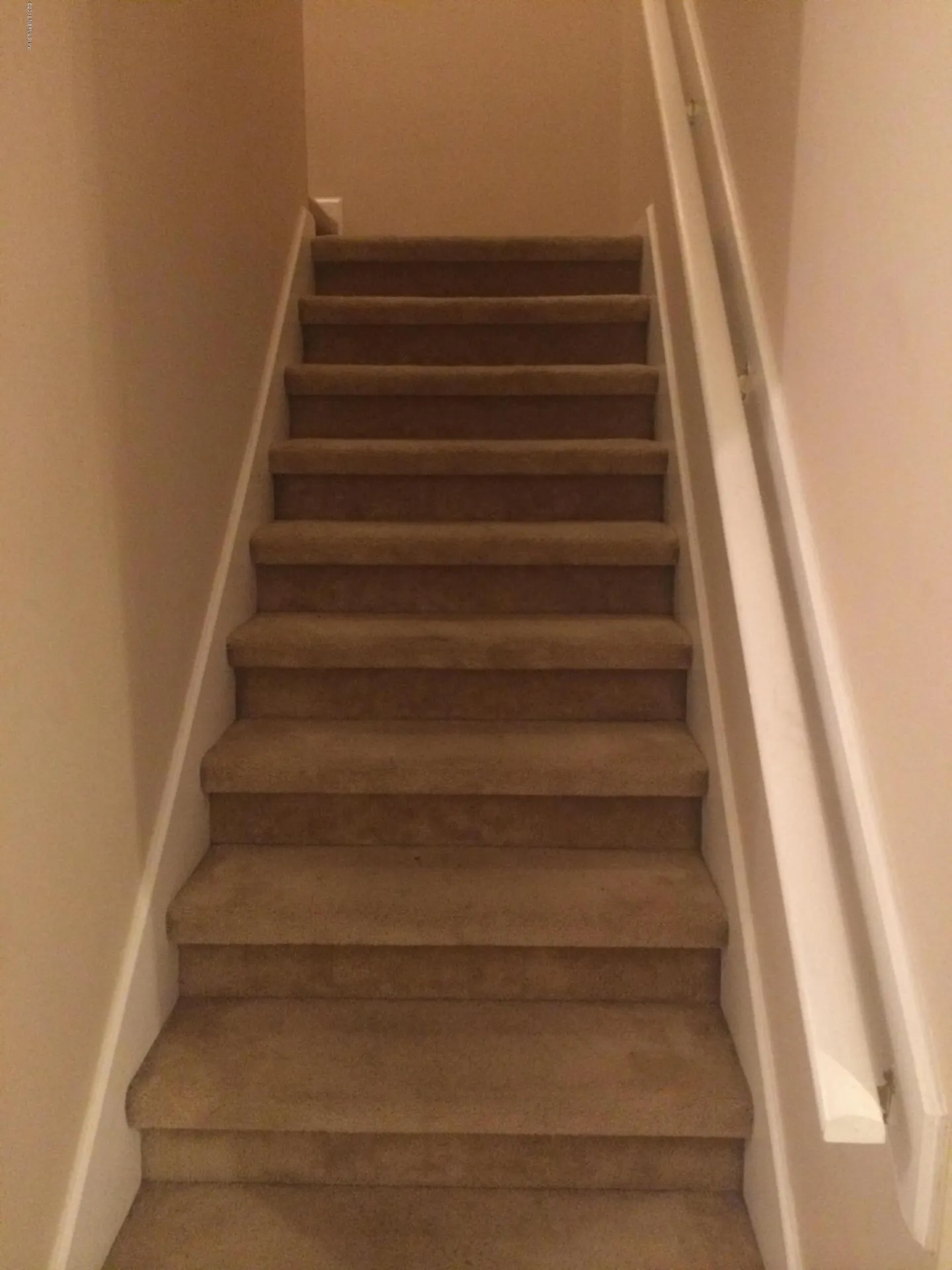 8584 Tower Falls Drive Jacksonville FL 32244