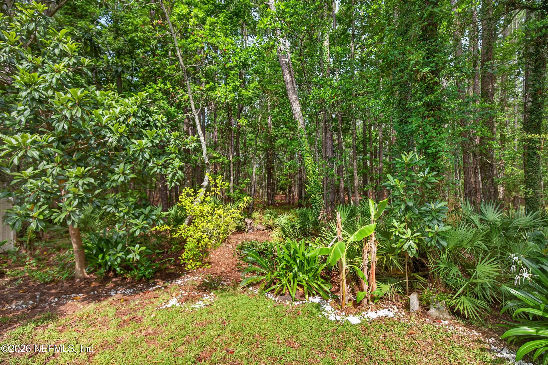 616 Candlebark Drive Jacksonville FL 32225