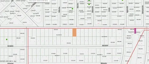 323 Paradise Boulevard Georgetown FL 32139