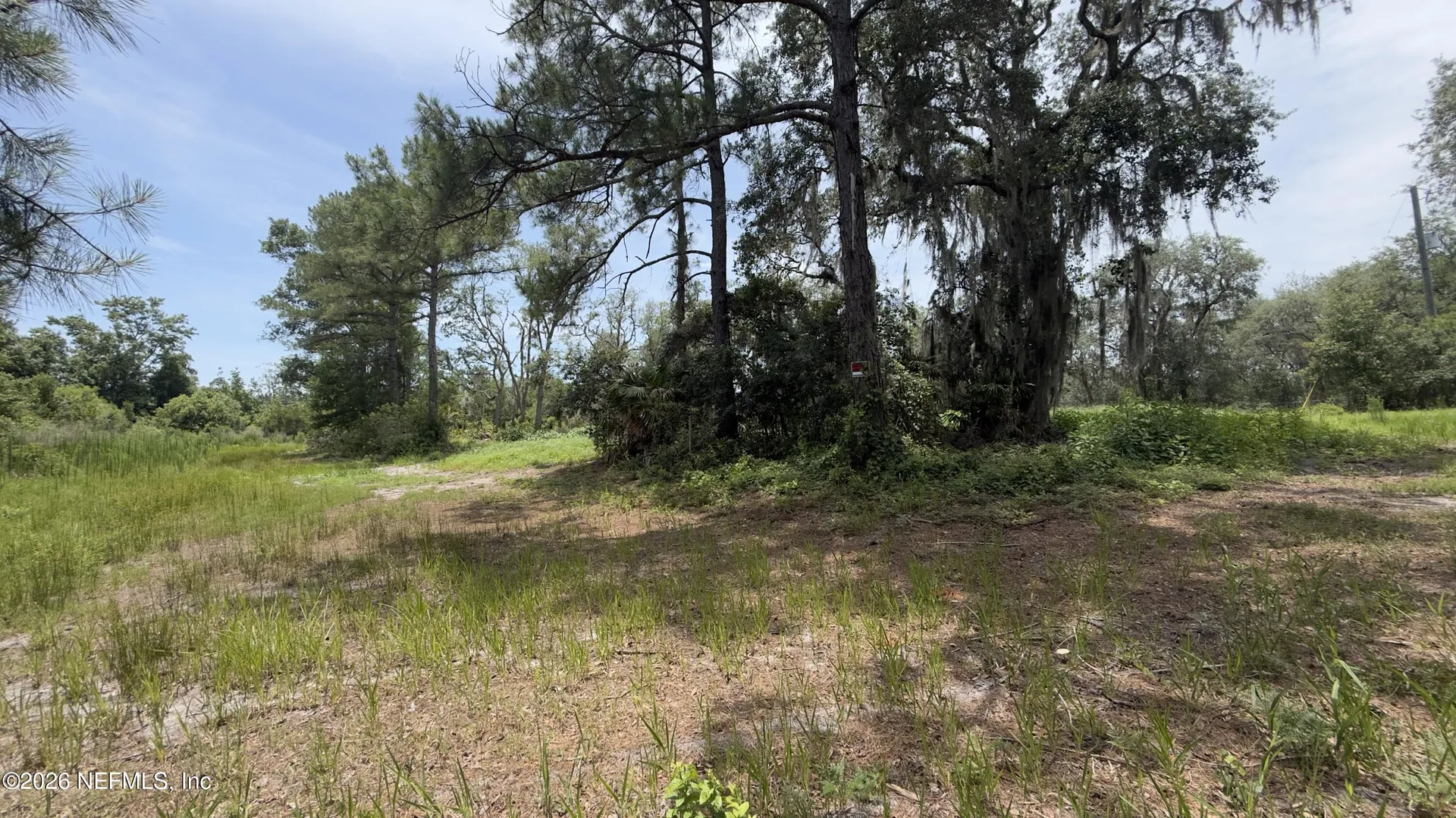 113 Spruce Court Interlachen FL 32148