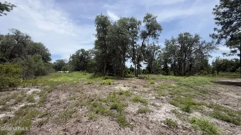 113 Spruce Court Interlachen FL 32148