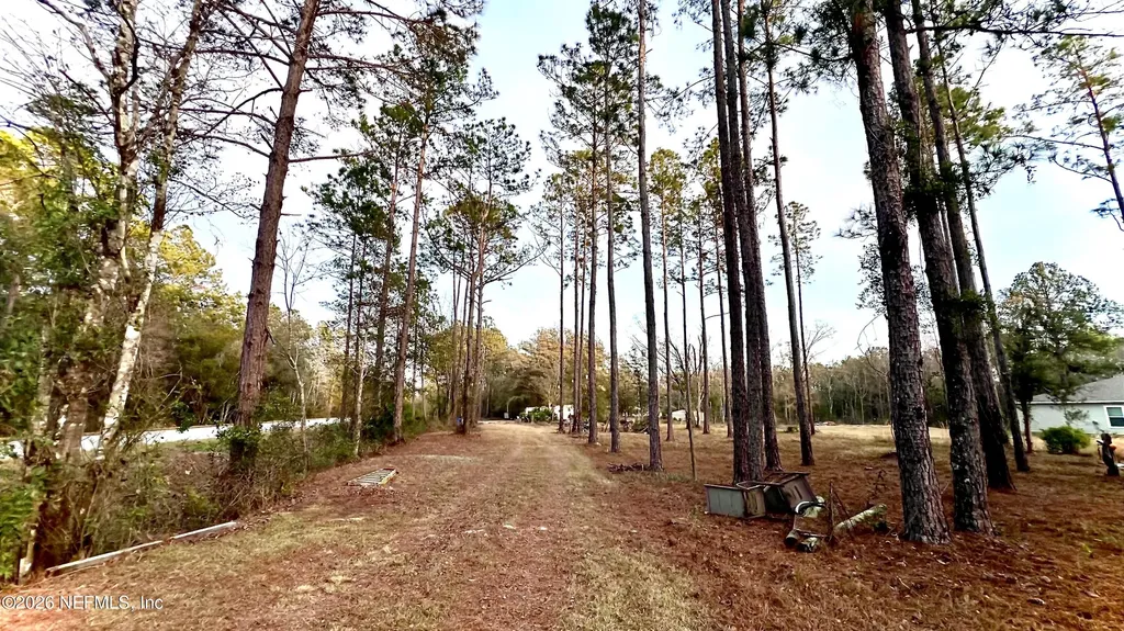 4698 Helena Street Hastings FL 32145
