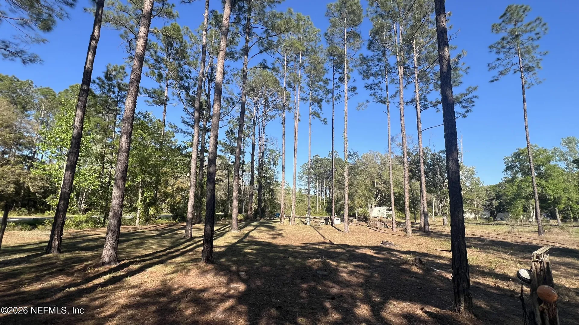 0 Helena Street Hastings FL 32145