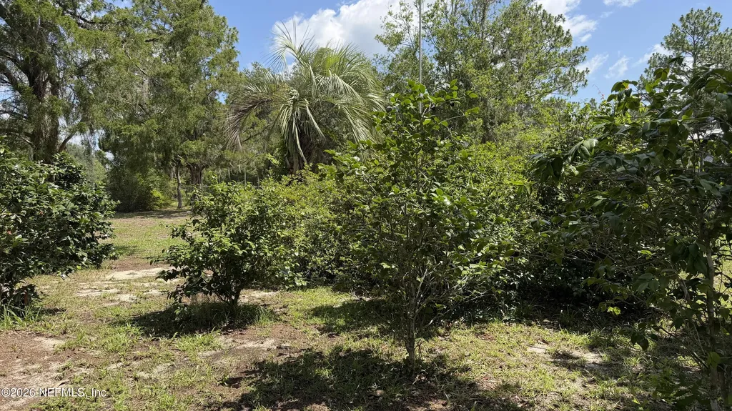 304 Dawn Avenue Interlachen FL 32148