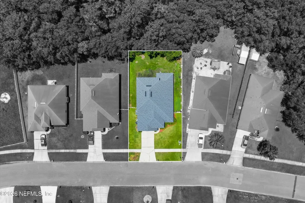 3113 White Heron Trail Orange Park FL 32073