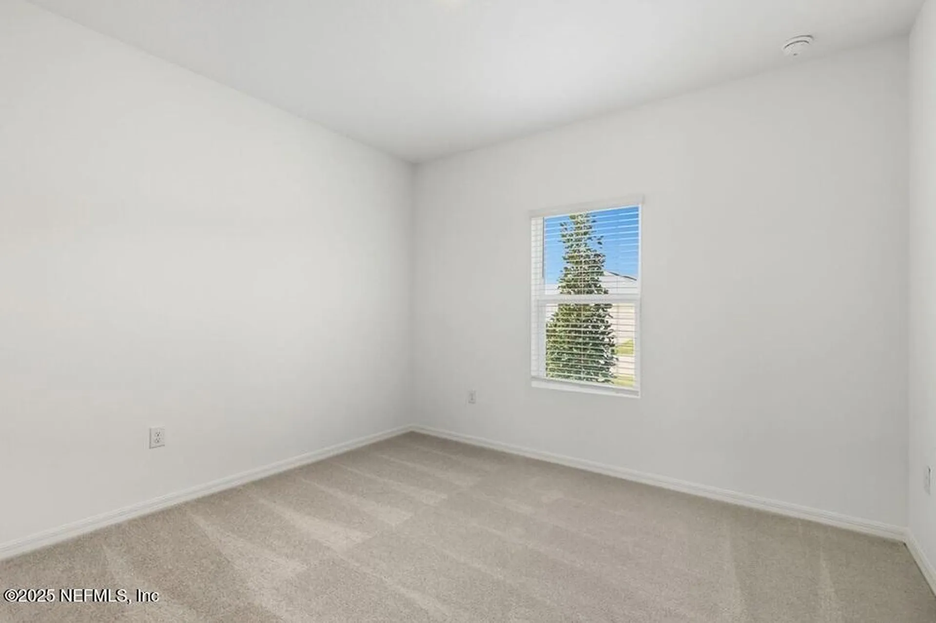 8136 Archibald Terrace Jacksonville FL 32219