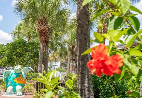1869 Sea Oats Drive Atlantic Beach FL 32233