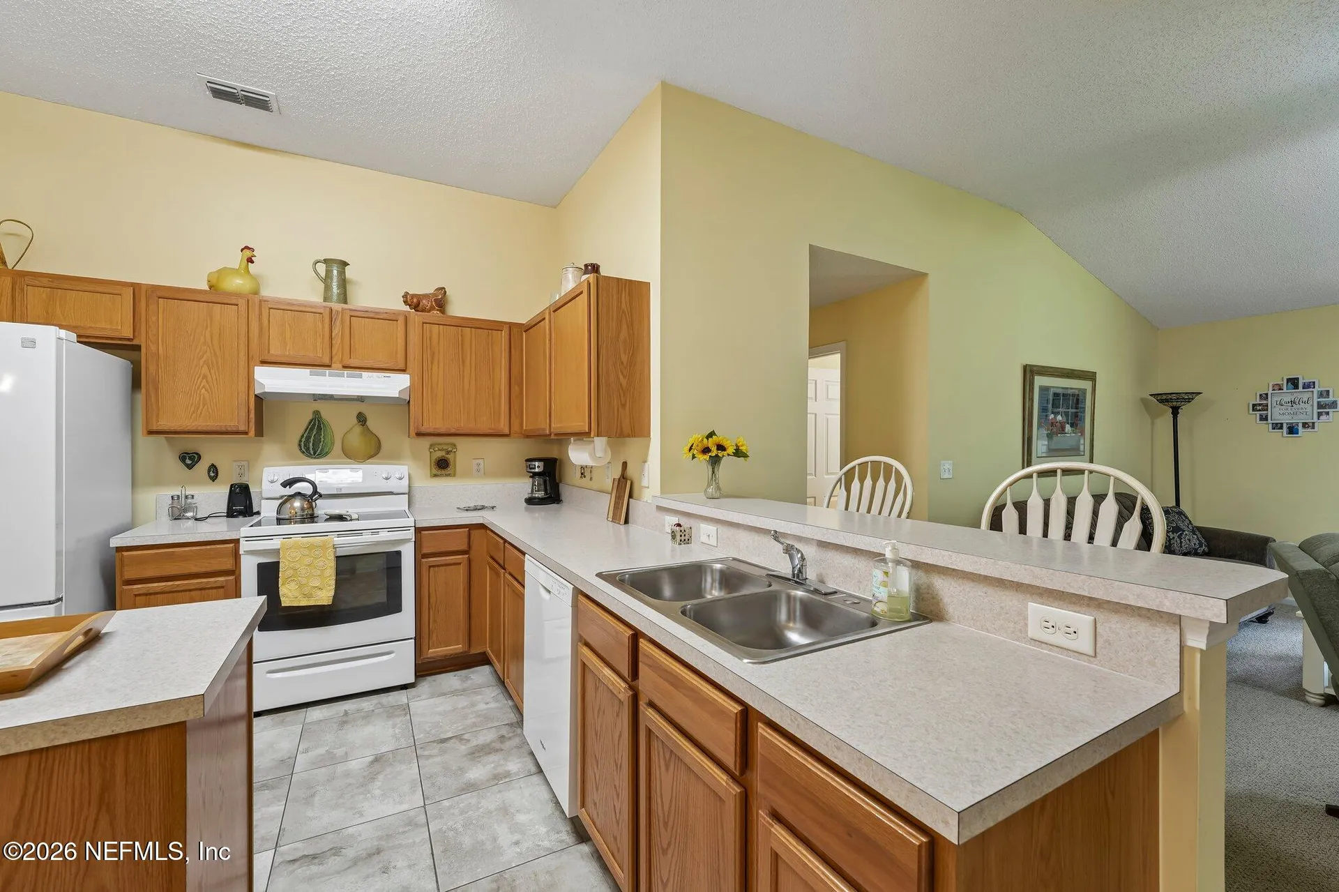 3923 Lake Crest Terrace Middleburg FL 32068