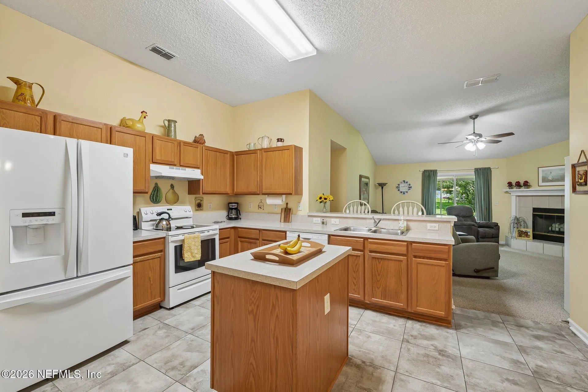 3923 Lake Crest Terrace Middleburg FL 32068