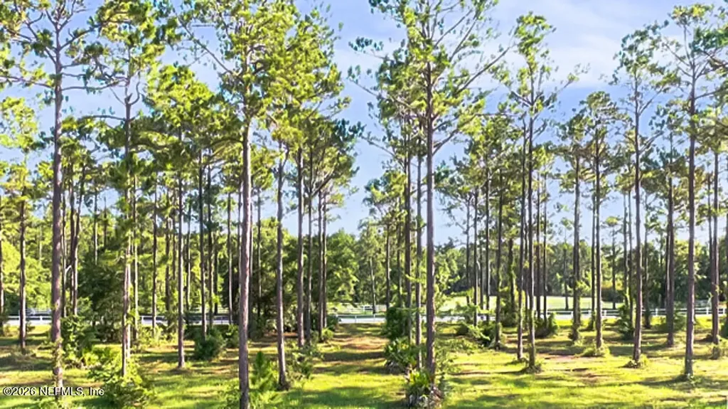 9925 Kings Crossing Drive Jacksonville FL 32219