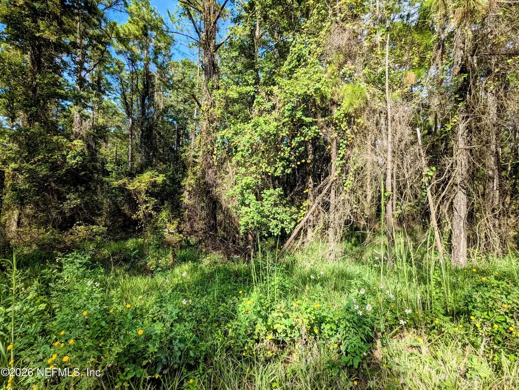 000 NE Us Highway 301 Waldo FL 32694