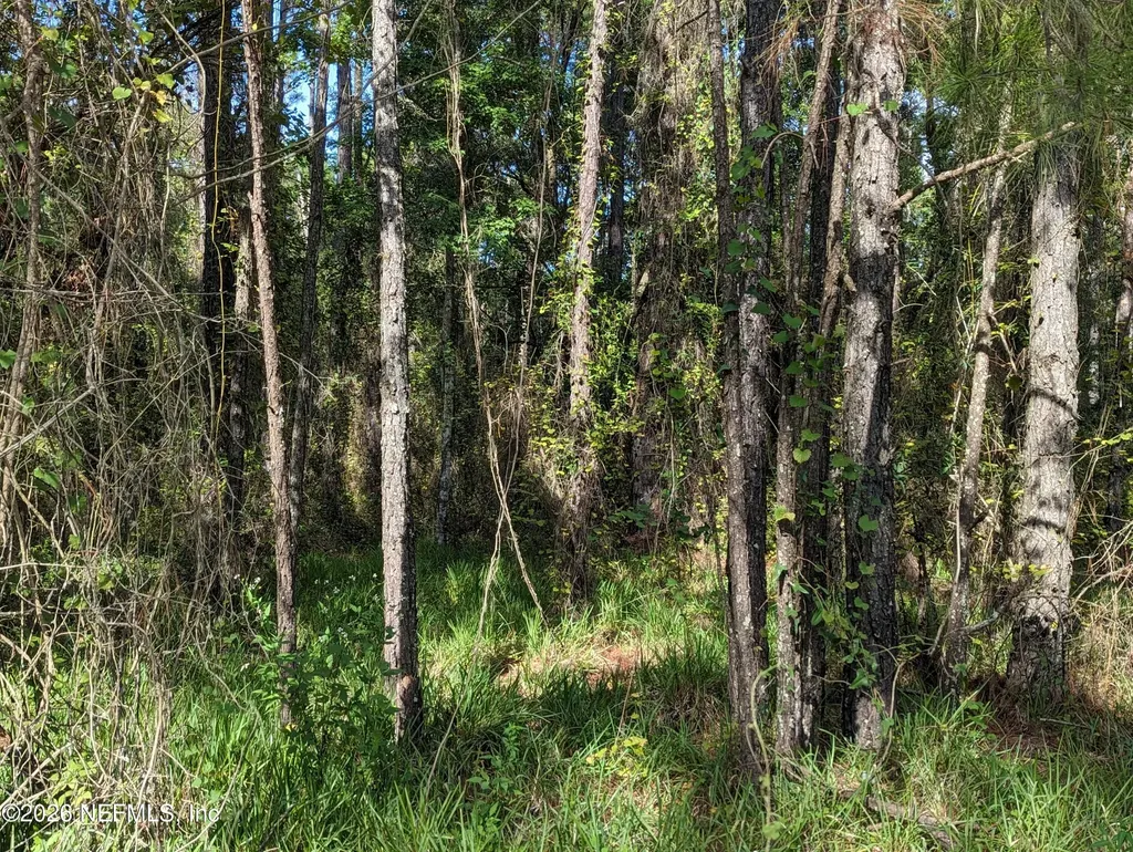 000 NE Us Highway 301 Waldo FL 32694